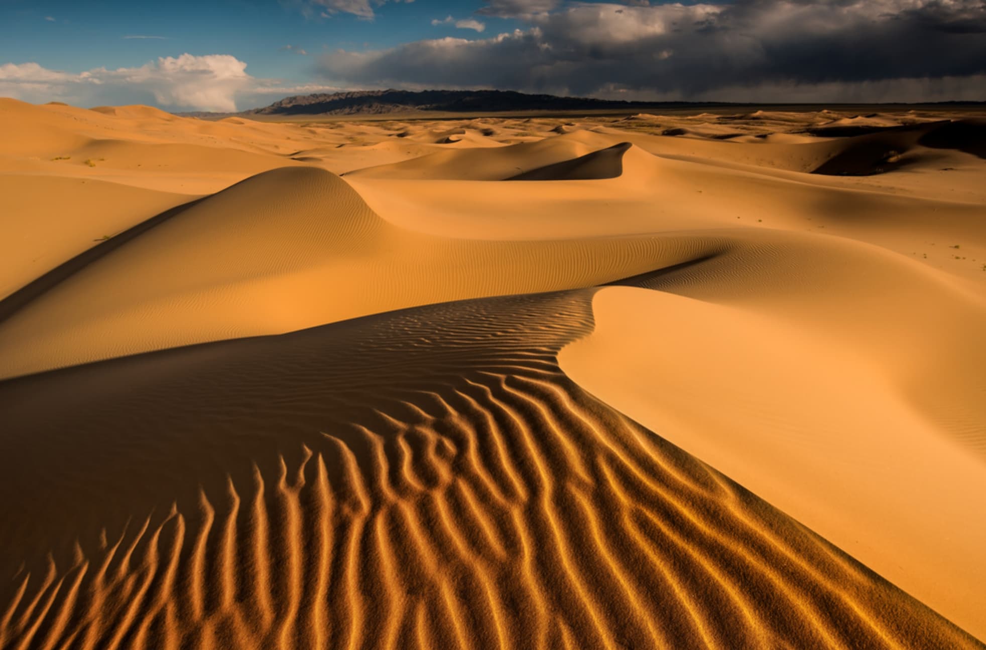 dunes in desert